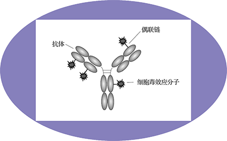 AG真人国际ADC临床前服务之ADC结构