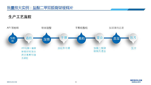 AG真人国际 变更参比制剂 李国栋博士演讲PPT