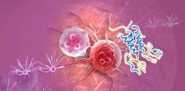 【盘点】高选择性mTOR抑制剂的研究进程_AG真人国际生物医药