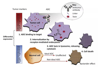 浅析：ADC药物的抗癌之路