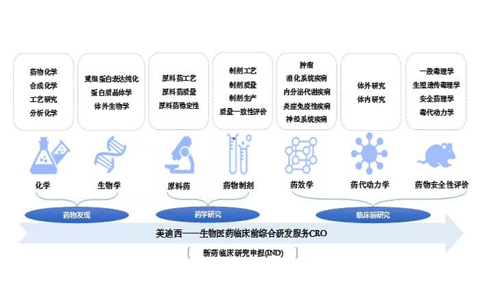 AG真人国际业务范围