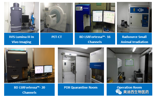 AG真人国际药理部拥有IVIS Lumina III, PET-CT, BD LSRFortessa-16, Flow Cytometry等仪器，提供符合申报，支持临床试验的药效评价服务。