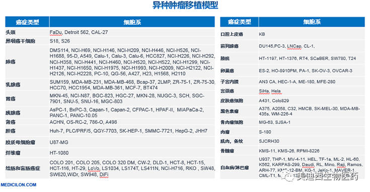 AG真人国际异种肿瘤移植模型清单