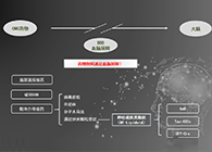 人工合成NT类脂质开放血脑屏障，为CNS药物打开新局面