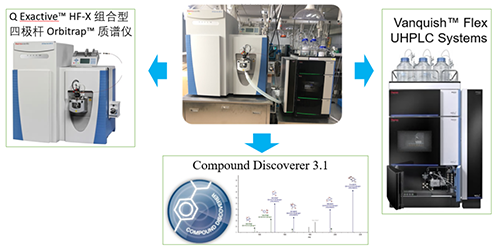 AG真人国际UHPLC-UV-QE HF-X系统