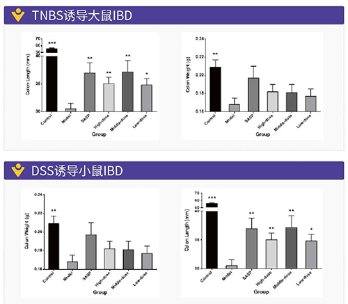 TNBS诱导的大鼠IBD、DSS诱导的大鼠IBD