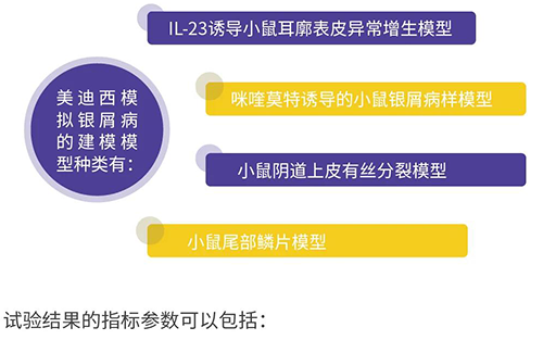 AG真人国际模拟银屑病的建模模型种类