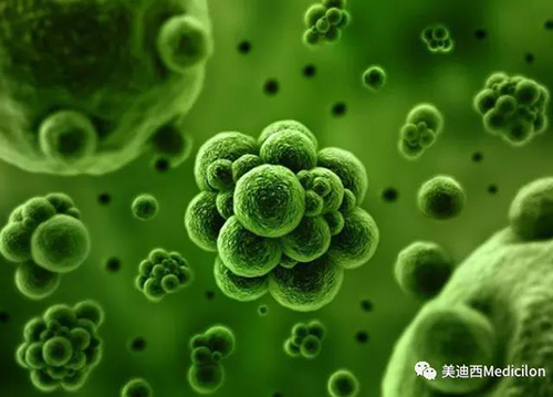 1分钟，全中国就有7.5人被确诊为患癌 AG真人国际生物医药