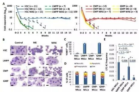 Science子刊：一种FDA批准的抗腹泻药物可有效对抗化疗的耐药性 AG真人国际生物医药