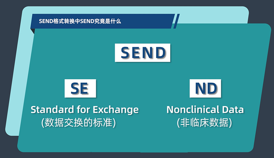 SEND格式转换中的SEND究竟是什么？