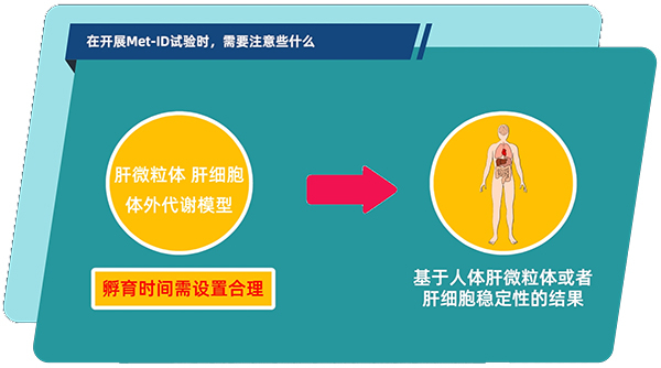 肝微粒体、肝细胞体外代谢模型中，孵育时间需设置合理.jpg