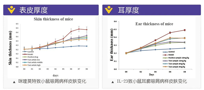 AG真人国际模拟银屑病的建模模型-试验结果的指标.png