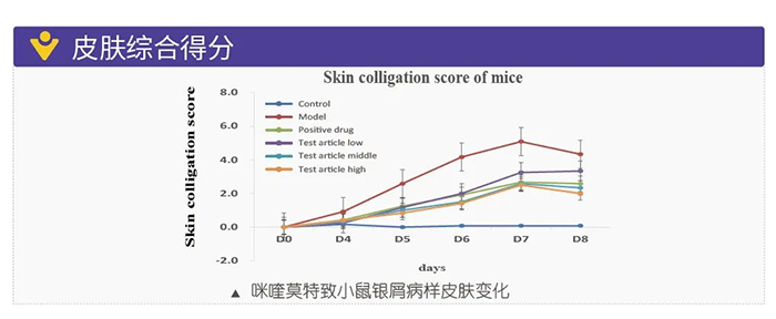 AG真人国际模拟银屑病的建模模型-皮肤综合得分.png