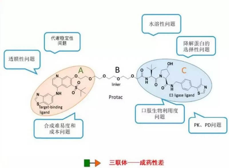 PROTAC分子量较大，溶解性较差.jpg