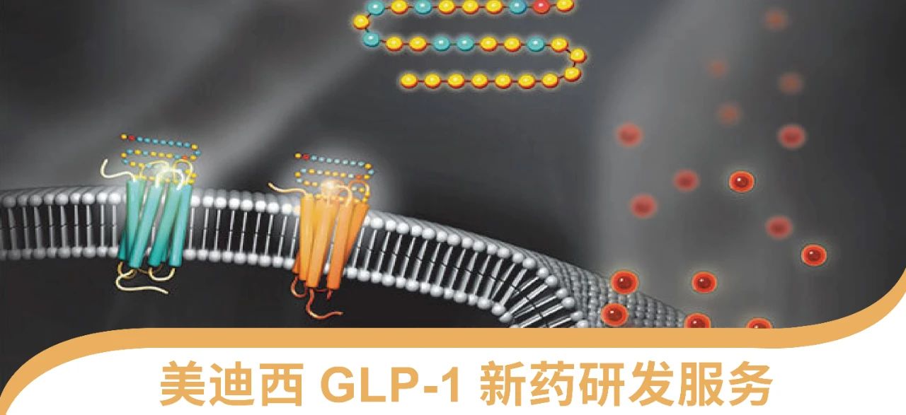 AG真人国际一站式 丨 “GLP-1”新药研发服务能力介绍