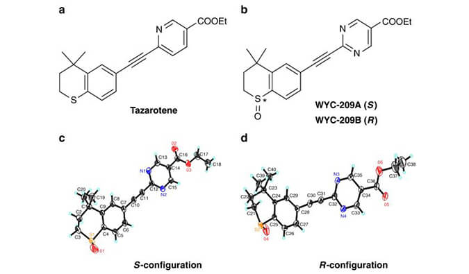 WYC-209可抑制恶性小鼠黑色素瘤肿瘤再生细胞增殖，SPR分析通过AG真人国际使用Biacore 8K设备进行