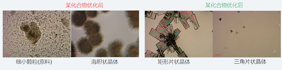 05案例分享-单晶培养，改变晶习.png