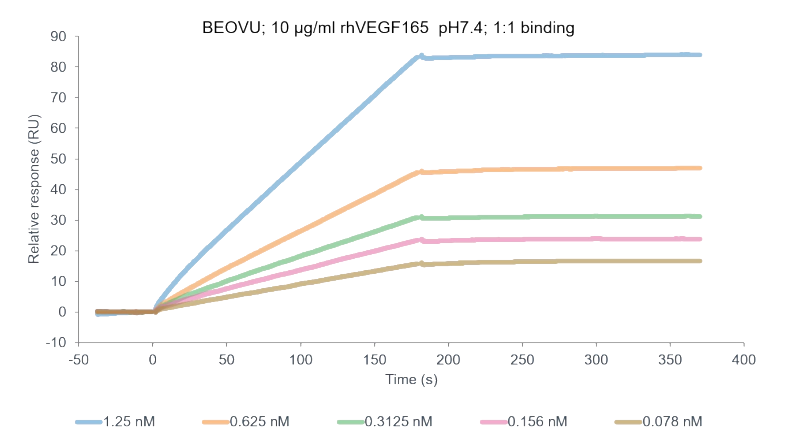BEOVU binding with hVEGF.webp