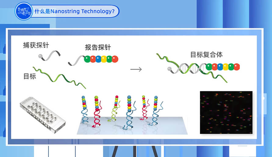 什么是Nanostring 技术？