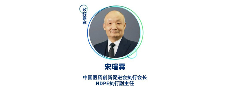 宋瑞霖--中国医药创新促进会执行会长、NDPE执行副主任.jpg