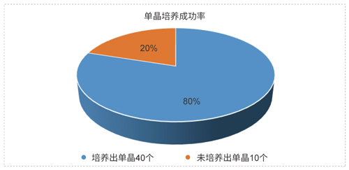 AG真人国际药物固态开发技术平台.jpg