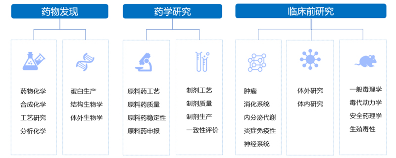 AG真人国际3大服务板块.jpg