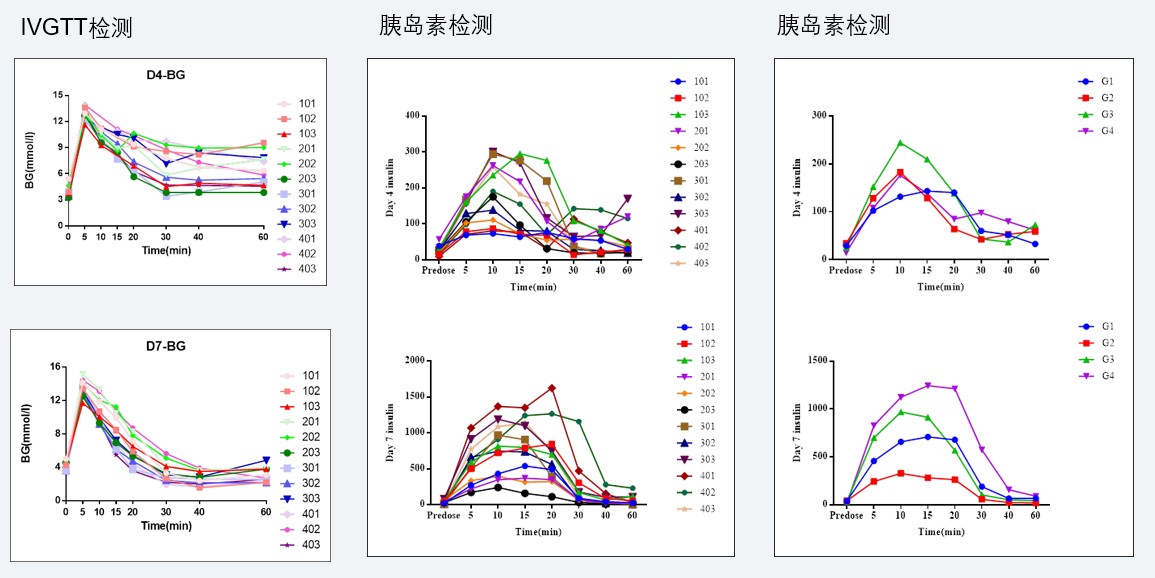 案例4：食蟹猴IVGTT和胰岛素检测实验.jpg